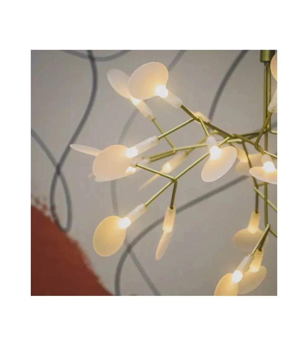 Heracleum Chandelier lampa